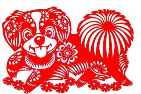 属狗的命不好？深度解析与生活的智慧