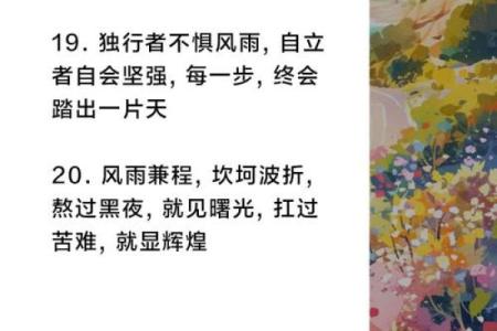 孤星命理：探究女性一生的孤独与独立之路