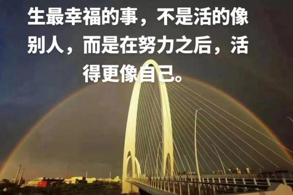 没有孩子的人生:幸福与否取决于心态与选择 没有孩子的人生:幸福与否取决于心态与选择