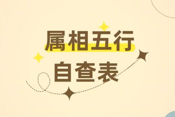 桑松木命搭配挂件的最佳选择与推荐