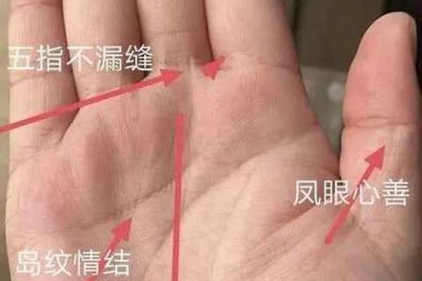 男孩手腕两条纹：探究生命的秘密与命运的象征