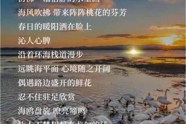 海鸥命:自由翱翔的灵魂,解析命运与人生的奥秘 海鸥命:自由翱翔的灵魂,解析命运与人生的奥秘