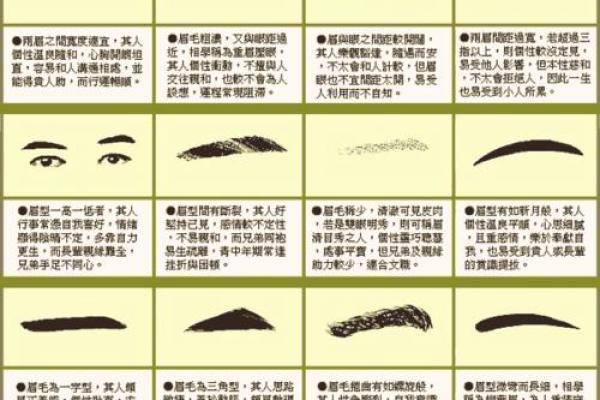 眉毛形状与命运：从面相看你的好运与厄运