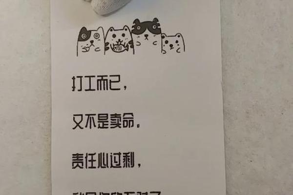 三五十块钱花哪里，居然能玩出不一样的人生体验！