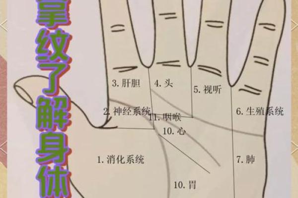 手纹中的秘密:解读多条手纹背后的命运玄机 手纹中的秘密:解读多条手纹背后的命运玄机