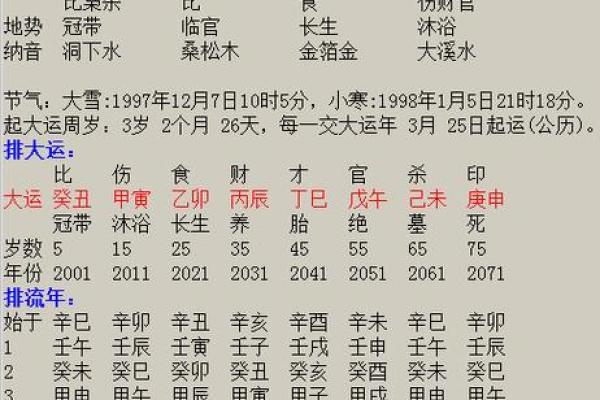 壬子命吉：揭示命理中的幸运与潜力之道