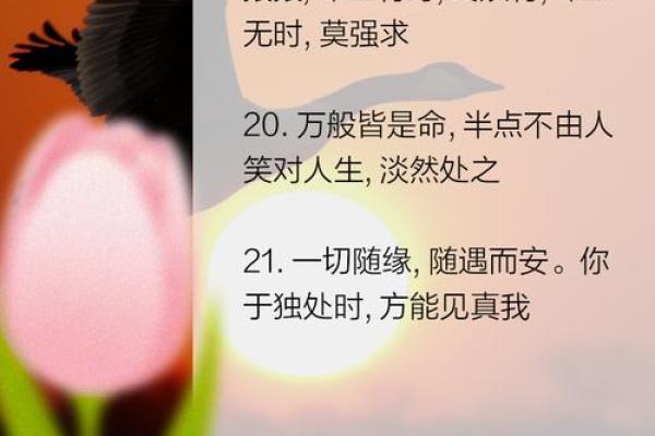 木鸡命与哪些命最配,解密最佳缘分搭配! 木鸡命与哪些命最配,解密最佳缘分搭配!