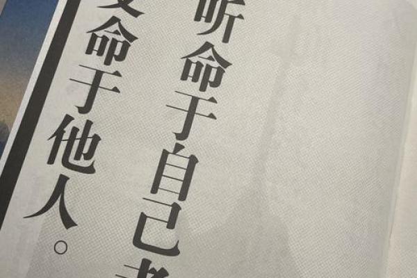 解密骆驼命：你是否拥有这种神奇的命格？