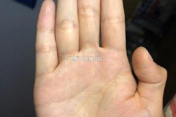手掌上的条纹，解读人生的神秘命运密码