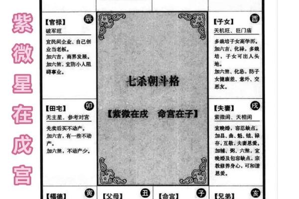 揭秘紫微命格：如何通过命理实现健康长寿