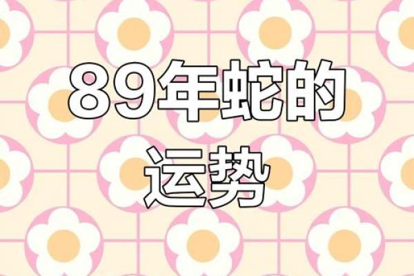 生肖属蛇，八月份出生的命运揭秘与解析