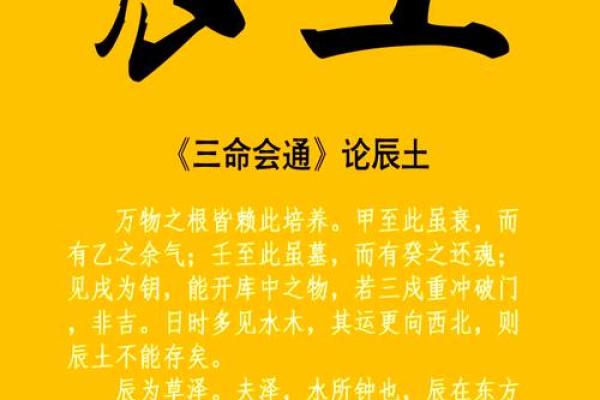 属龙人砂土命的深层解析与生活指南 属龙人砂土命的深层解析与生活指南
