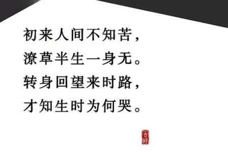 男命与女命：解密命理背后的天地之道与人生选择