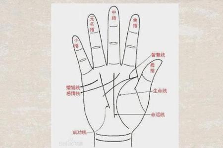 男孩手腕两条纹：探究生命的秘密与命运的象征