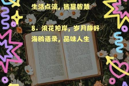 海鸥命：自由翱翔的灵魂，解析命运与人生的奥秘