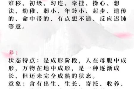 能被救的人是什么命？探索生命的奥秘与希望