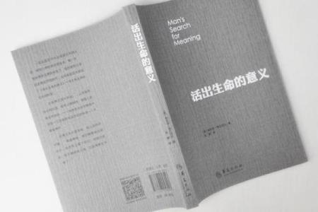 生命的意义：在活命之外如何找到更深的存在感