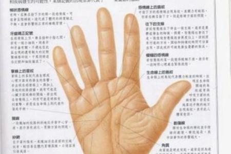 手纹中的秘密：解读多条手纹背后的命运玄机