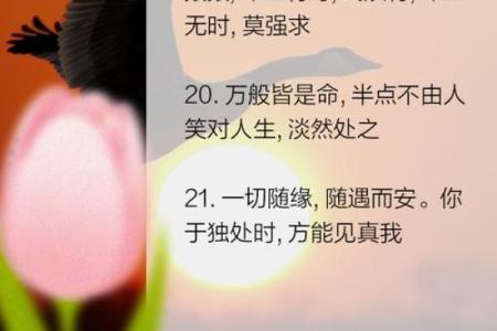 木鸡命与哪些命最配，解密最佳缘分搭配！