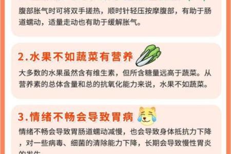 根据什么口罩决定什么命，健康与安全的选择之道