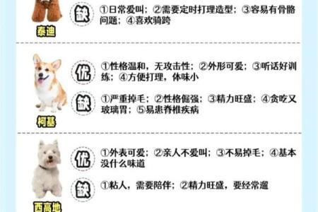 属狗人木命的性格解析与生活建议