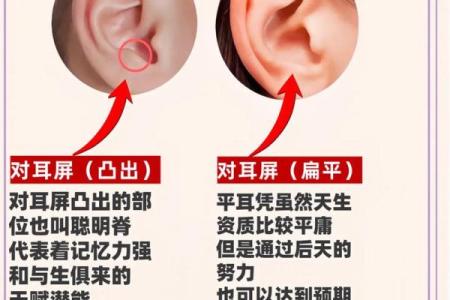 女孩耳朵张开的命运与个性解析：耳朵形状的神秘寓意