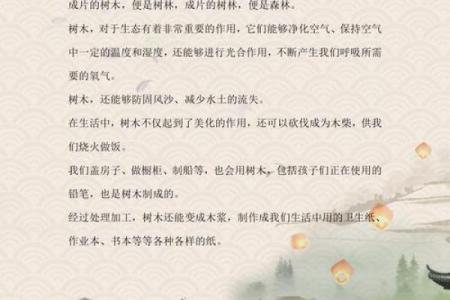 十二月的命理之旅：探秘金木水火土的奥秘与魅力