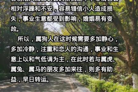 属狗的初七命人：性格特征与命运解析