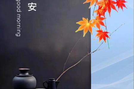 如何查命格属什么命，让你的人生道路更清晰