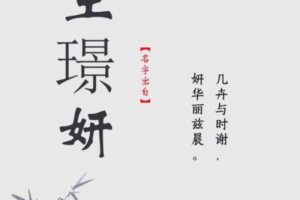 适合属猴的土命王姓宝宝名字推荐与解析
