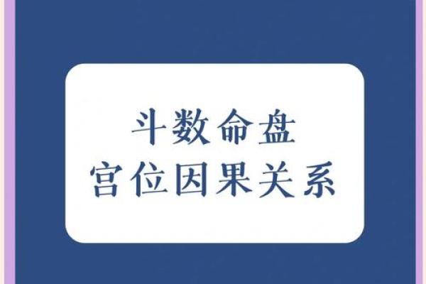 命中注定：探寻天命与生命轨迹的奥秘