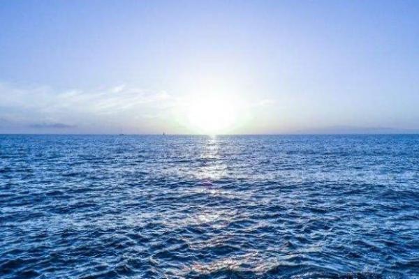 属狗大海水命缺什么?揭示命理奥秘与生活启示 属狗大海水命缺什么?揭示命理奥秘与生活启示