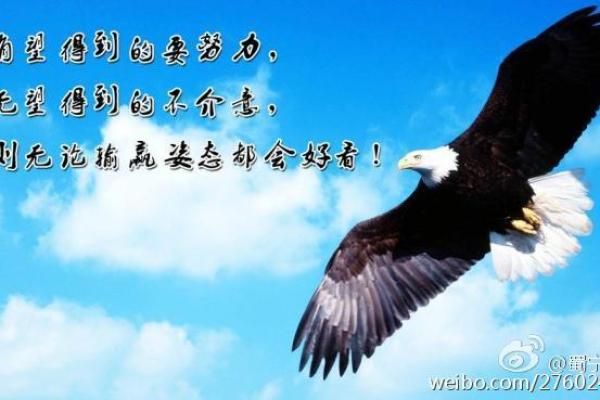 命换钱的职业：那些在生死边缘起舞的行业