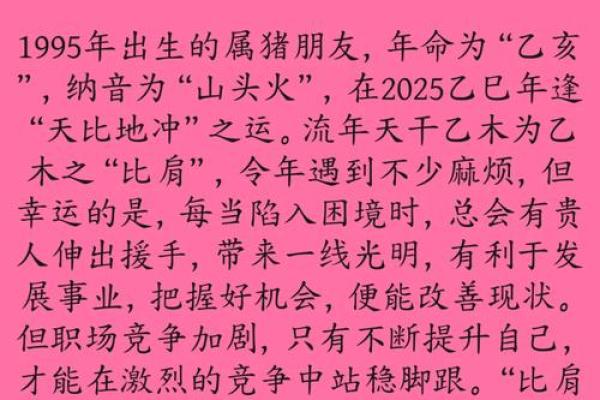 属猪的95年生人命运解析:适合的职业与生活指南 属猪的95年生人命运解析:适合的职业与生活指南