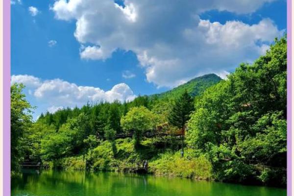 属牛人的木命解析:与自然和谐共生的生命之旅 属牛人的木命解析:与自然和谐共生的生命之旅