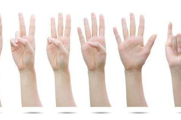 食指与无名指平行的命运解析:揭示你人生的秘密 食指与无名指平行的命运解析:揭示你人生的秘密