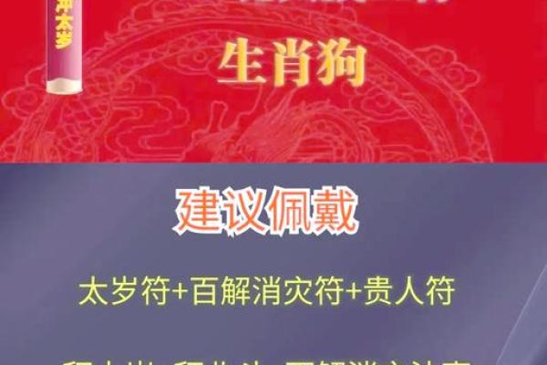 属狗人最吉利的颜色是什么？揭秘五行命理中的秘密！