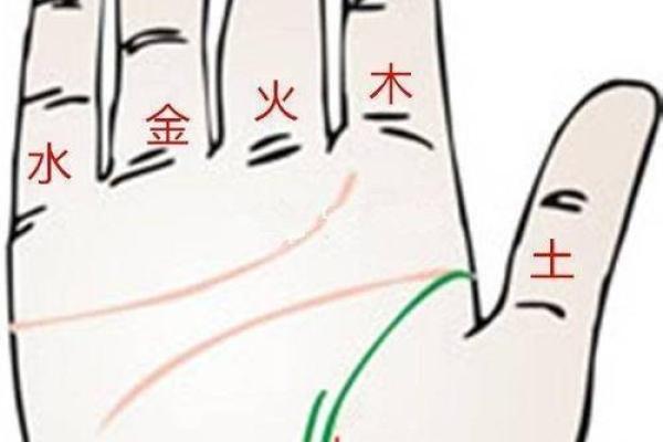 金多木少的命运解析与调和技巧