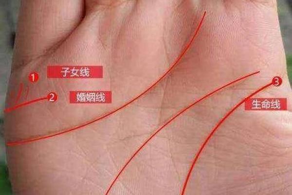 女生手长好看，意味着什么？探索手部美学与命运的奇妙关系