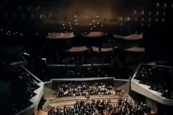 命运的交响曲：为何我的生活如此苦涩？