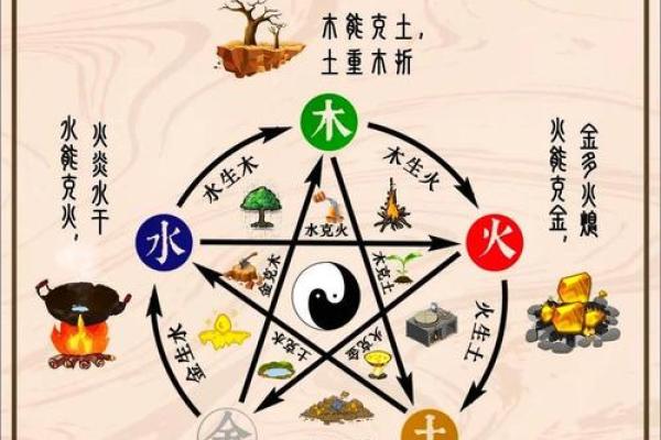 木命女孩的命理探秘：性格、运势与发展