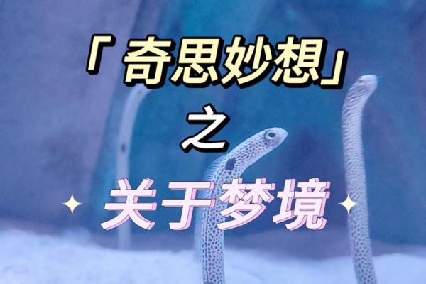 命短人生：短暂的旅程与深刻的思考