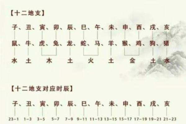 揭开四柱论命的奥秘：如何通过命格了解自己的人生轨迹