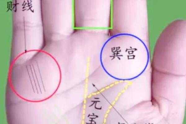 手掌大小与命运:探索掌中之道的奥秘与启示 手掌大小与命运:探索掌中之道的奥秘与启示