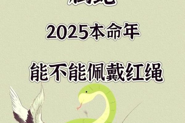 属蛇木命男的最佳佩戴物品与搭配建议 属蛇木命男的最佳佩戴物品与搭配建议