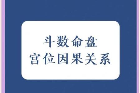 命中注定：探寻天命与生命轨迹的奥秘