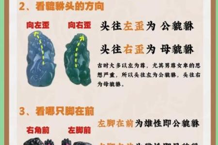 男命与女命的深层解析：命理背后的性别之谜