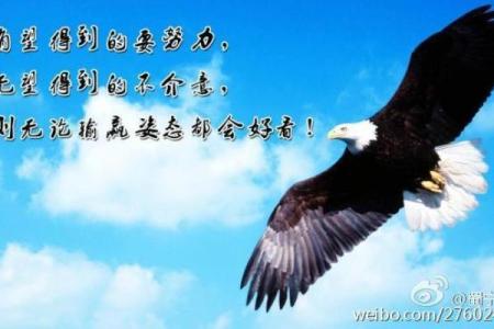 命换钱的职业：那些在生死边缘起舞的行业