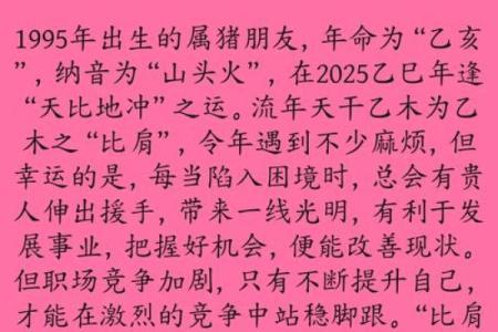 属猪的95年生人命运解析：适合的职业与生活指南