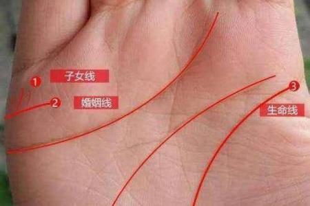 女生手长好看，意味着什么？探索手部美学与命运的奇妙关系